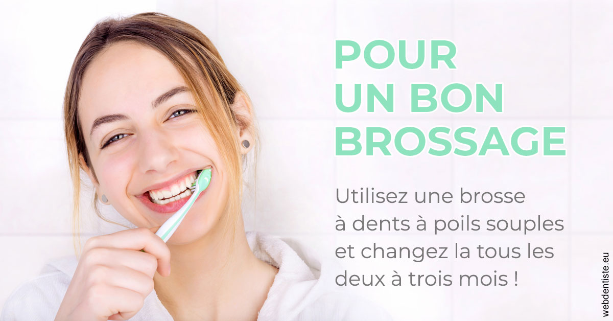 https://selarl-elysees-berri.chirurgiens-dentistes.fr/Pour un bon brossage 2