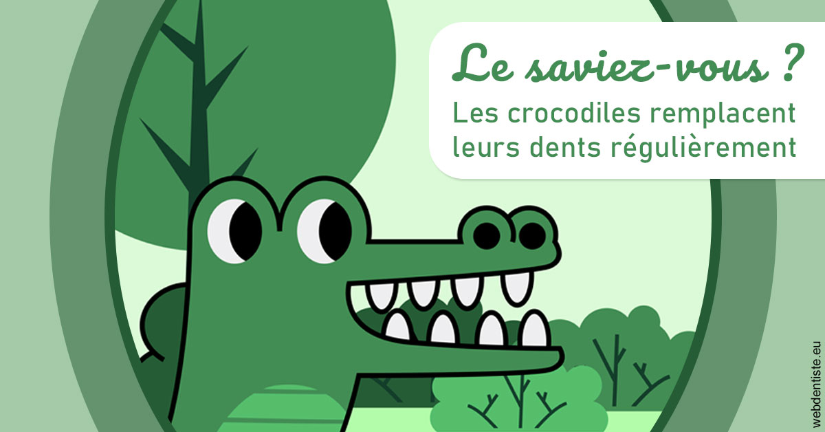 https://selarl-elysees-berri.chirurgiens-dentistes.fr/Crocodiles 2