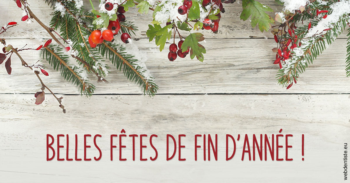 https://selarl-elysees-berri.chirurgiens-dentistes.fr/Joyeux Noël 2