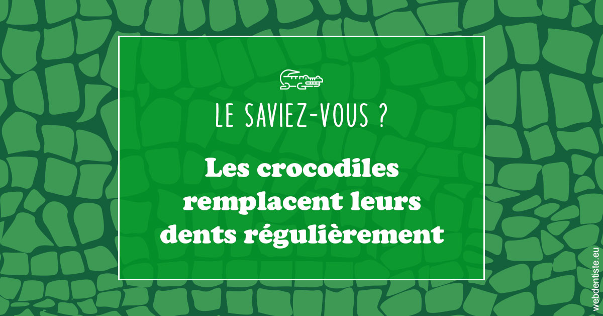 https://selarl-elysees-berri.chirurgiens-dentistes.fr/Crocodiles 1